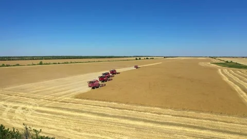 Tractor with a sowing complex works in the field Video stock 234400805