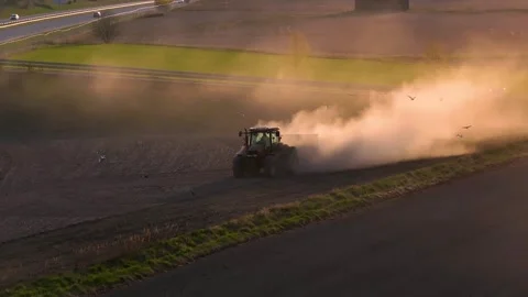 Tractor sowing on a field in sunset Stock Footage 241484372
