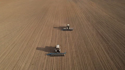 Tractor sowing seed on plowed field. Sowing seeds of corn and sunflower. Video stock 193725370