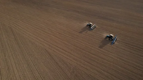 Tractor sowing seed on plowed field. Sowing seeds of corn and sunflower. Stock Footage 193730164