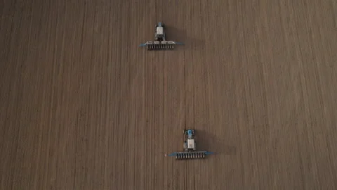 Tractor sowing seed on plowed field. Sowing seeds of corn and sunflower. Video stock 193949581