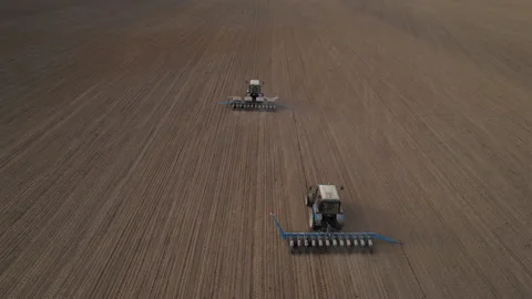 Tractor sowing seed on plowed field. Sowing seeds of corn and sunflower. Stock Footage 193950392