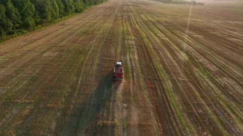 Tractor sowing seed on plowed field. Farming and seeding Видео 207983104