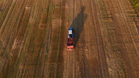 Tractor sowing seed on plowed field. Farming and seeding 스톡 동영상 207994294