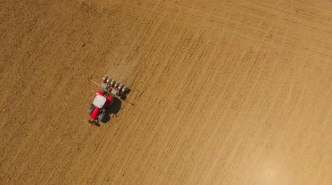 Tractor sowing seeds of corn. Видео 63318092