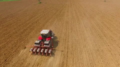 Tractor sowing seeds of corn. Stock Footage 63318261