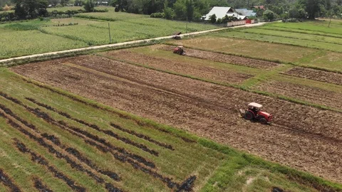Tractor sowing soil Video stock 117323663