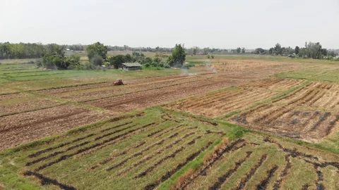 Tractor sowing soil Stock Footage 117323899