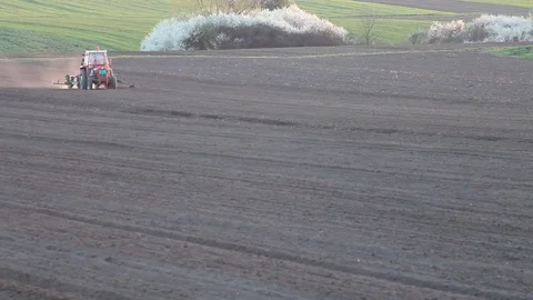 Tractor sown in the field Video stock 74371389