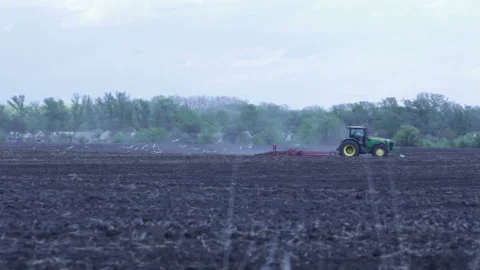 The tractor sows a field Stock Footage 86241593