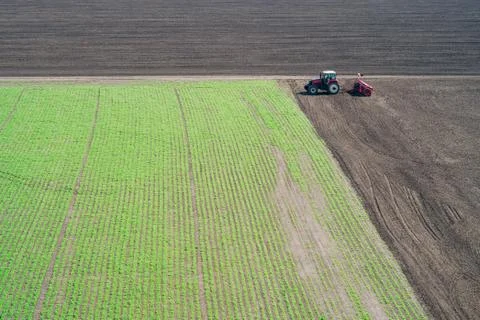 Tractor sows on the field Stock Photos