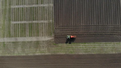 The tractor sows grain in the field. Video stock 126701744