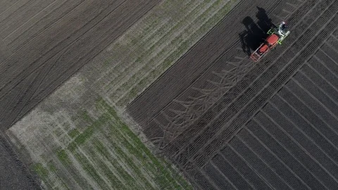 The tractor sows grain in the field. Video stock 127143316