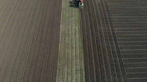 The tractor sows grain in the field. Stock Footage 127143341