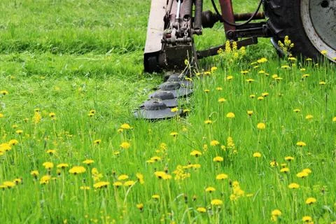 The tractor with a special nozzle automatically mows the grass Stock Photos