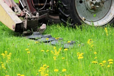 The tractor with a special nozzle automatically mows the grass Stock Photos