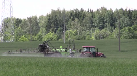 Tractor spray green summer corn field pesticide near wiring pole Stock Footage 41345527