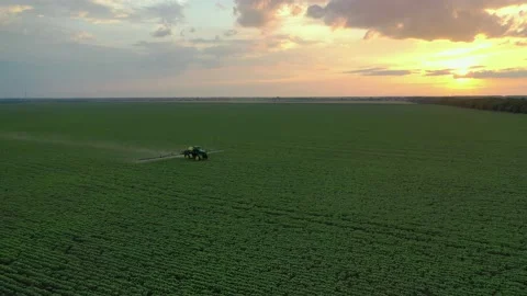 Tractor sprayer in the fields at sunset Stock Footage 234499835