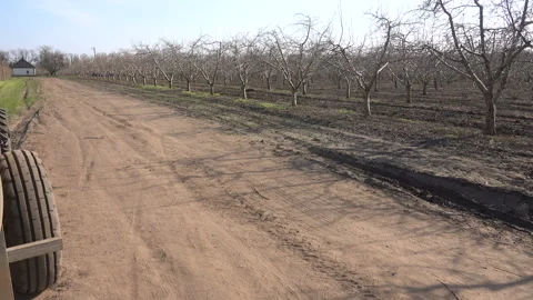 Tractor with a sprayer in the garden Stock-Footage 102507922