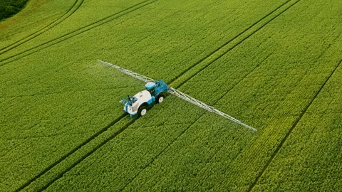Tractor sprayer irrigates wheat field. Farming process of spraying field growths Video stock 246489759