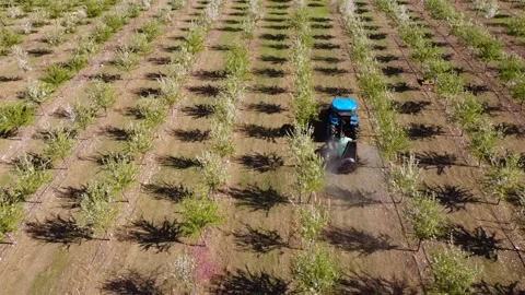 Tractor with sprayer in the plantations Stock Footage 237359178
