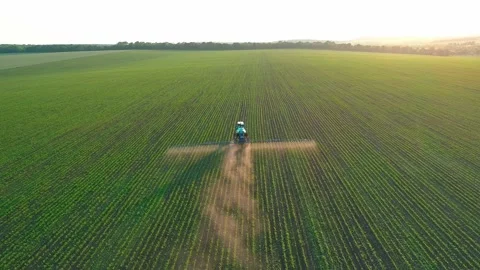 Tractor sprayer on soybean fields at sunset. Aerial drone footage. Video stock 214723810