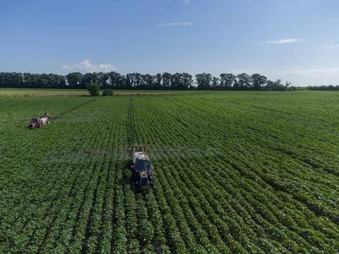 Tractor with a sprayer on a sun field. Application of herbicides. Stock Photos