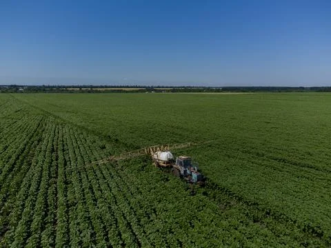 Tractor with a sprayer on a sun field. Application of herbicides. Stock Photos