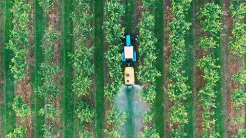 Tractor Spraying Apple Trees In Garden With Herbicides And Pesticides Aerial Stock Footage 122831663