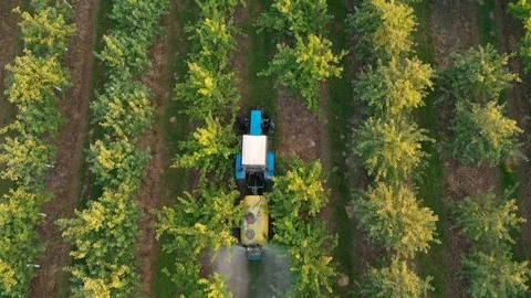 Tractor Spraying Apple Trees In Garden With Herbicides And Pesticides Aerial 스톡 동영상 123566944