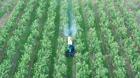 Tractor Spraying Apple Trees In Garden With Herbicides And Pesticides Aerial Video stock 123652809
