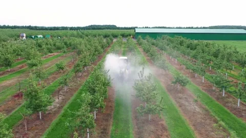 Tractor Spraying Apple Trees In Garden With Herbicides And Pesticides Aerial Stock Footage 202346315