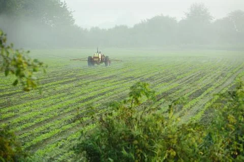 Tractor Spraying Crop Fotos de archivo