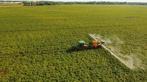 Tractor is spraying fertilizers field. Stock Footage 79685654