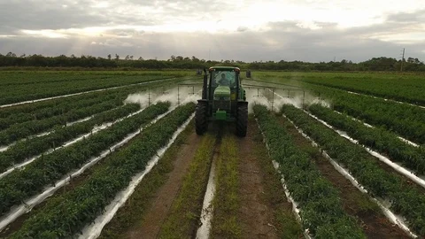 Tractor spraying field Video stock 100615288