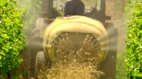 Tractor spraying grape vines in a vineyard Stock Footage 161802575