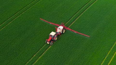 Tractor spraying herbicides on dense green wheat field. Agricultural vehicle Stock Footage 311931926