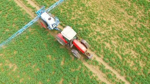 Tractor spraying herbicides on rapeseed field. Video stock 106241645
