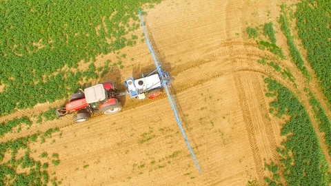 Tractor spraying herbicides on rapeseed field. Video stock 106242302