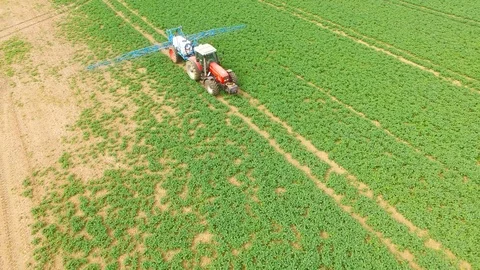 Tractor spraying herbicides on rapeseed field. Video stock 106243035