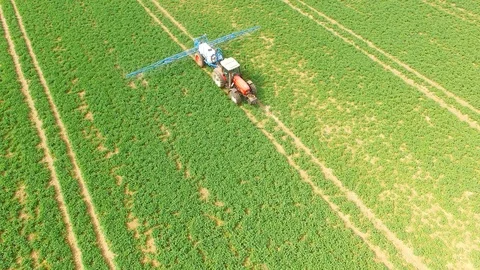Tractor spraying herbicides on rapeseed field. Video stock 106243225