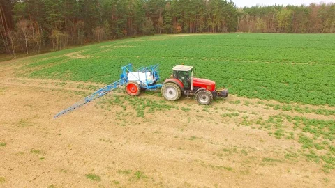 Tractor spraying herbicides on rapeseed field. Video stock 106244029