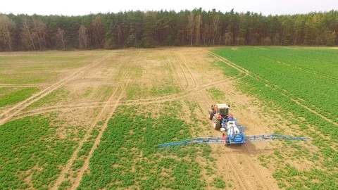 Tractor spraying herbicides on rapeseed field. Video stock 106244573