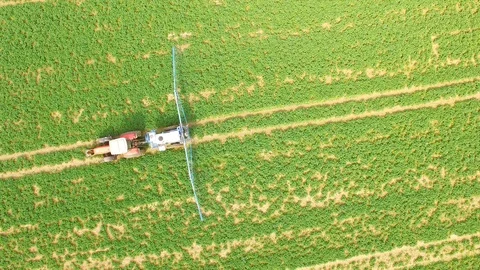 Tractor spraying herbicides on rapeseed field. Video stock 106244951