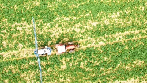 Tractor spraying herbicides on rapeseed field. Stock Footage 106245452