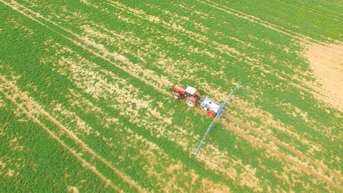 Tractor spraying herbicides on rapeseed field. Video stock 106245829