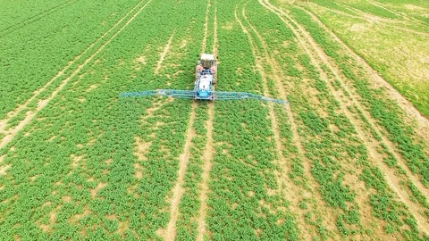 Tractor spraying herbicides on rapeseed field. Video stock 106245909