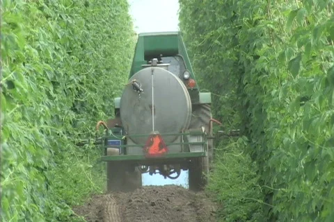 Tractor spraying hop yard 库存影片 306451