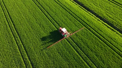 Tractor spraying large scale farming grain wheat crops with pesticide Stock Footage 241426416