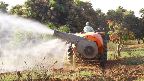 A Tractor spraying mango tree protection pesticide,Tractor spraying mango in  Stock Footage 152033645